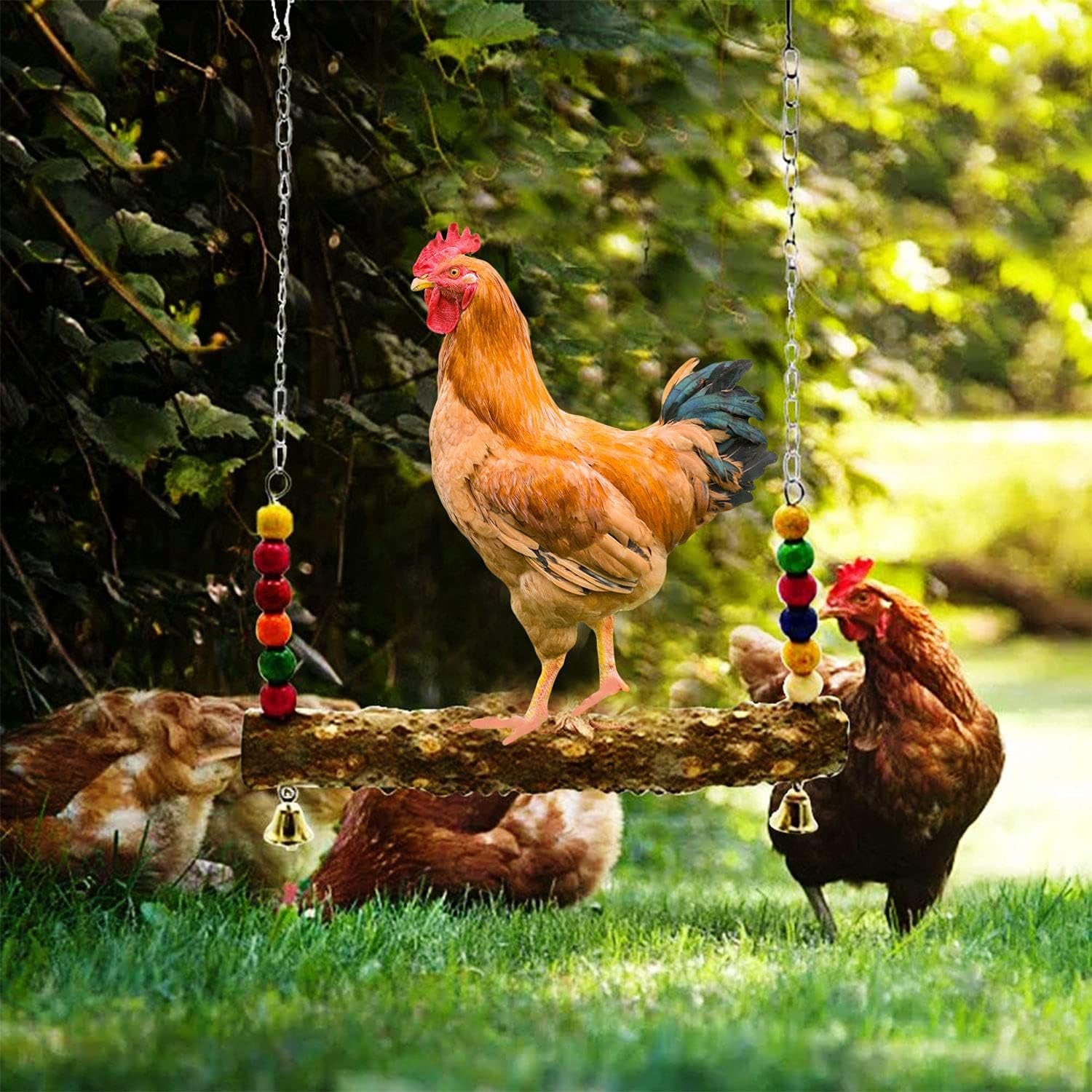 7 Packs Chicken Toys Set, Chicken Xylophone Toys for Hens, Chicken Bridge Swing Toys, Chicken Mirror Toys,Chicken Pecking Toys and Vegetable Hanging Feeder for Chicken Coop