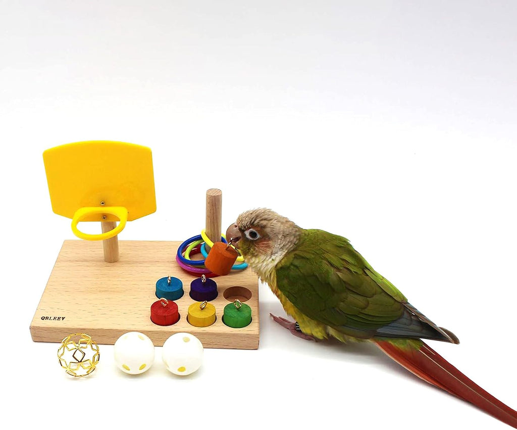 Bird Toys - Budgie & Parrot Training Toys, Color Ring Sets, Chew Ball & Play Gym