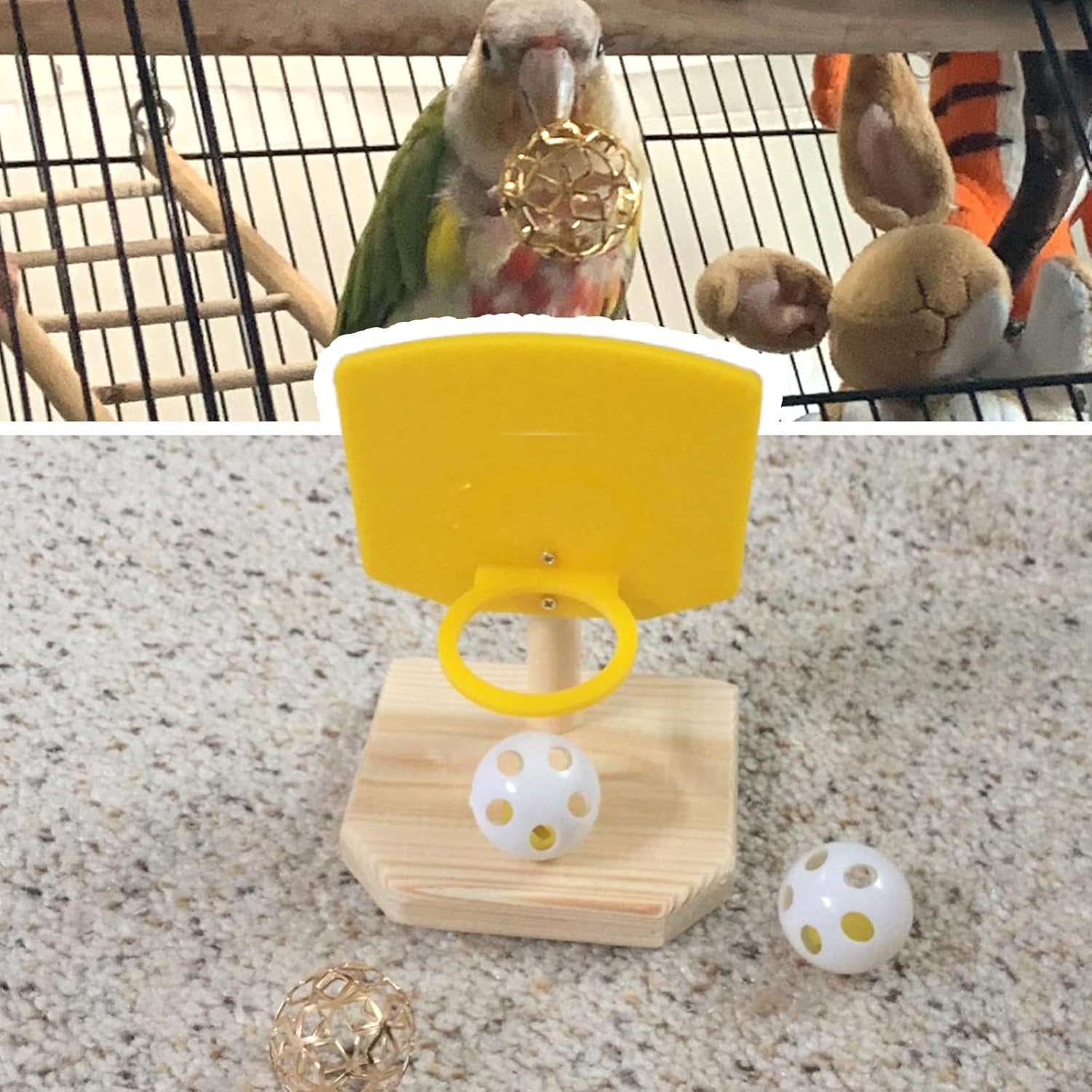 Bird Basketball Toy - Parrot Activity & Foraging Toys, Bird Training Gym