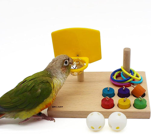 Bird Toys - Budgie & Parrot Training Toys, Color Ring Sets, Chew Ball & Play Gym