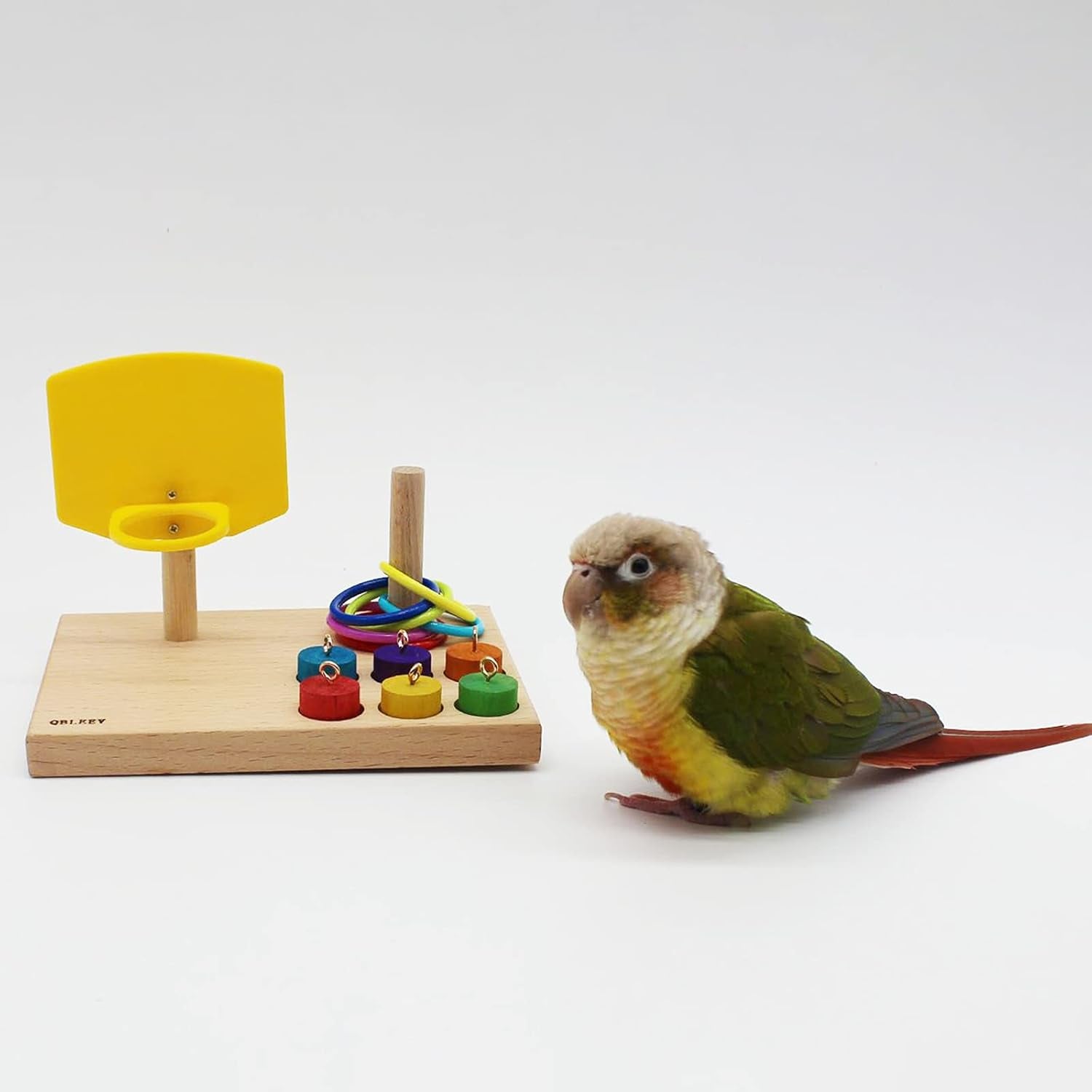 Bird Toys - Budgie & Parrot Training Toys, Color Ring Sets, Chew Ball & Play Gym