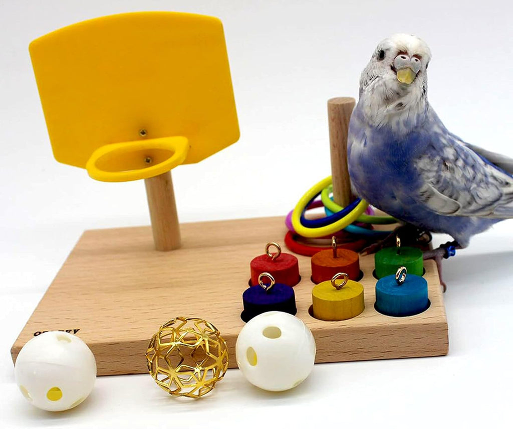 Bird Toys - Budgie & Parrot Training Toys, Color Ring Sets, Chew Ball & Play Gym