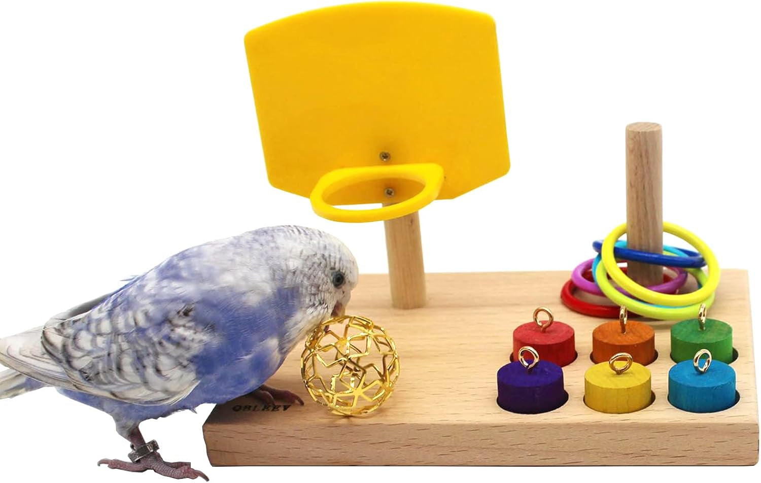 Bird Toys - Budgie & Parrot Training Toys, Color Ring Sets, Chew Ball & Play Gym
