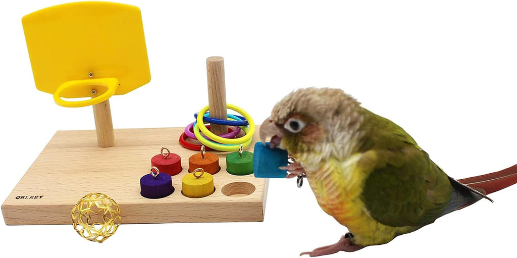 Bird Toys - Budgie & Parrot Training Toys, Color Ring Sets, Chew Ball & Play Gym