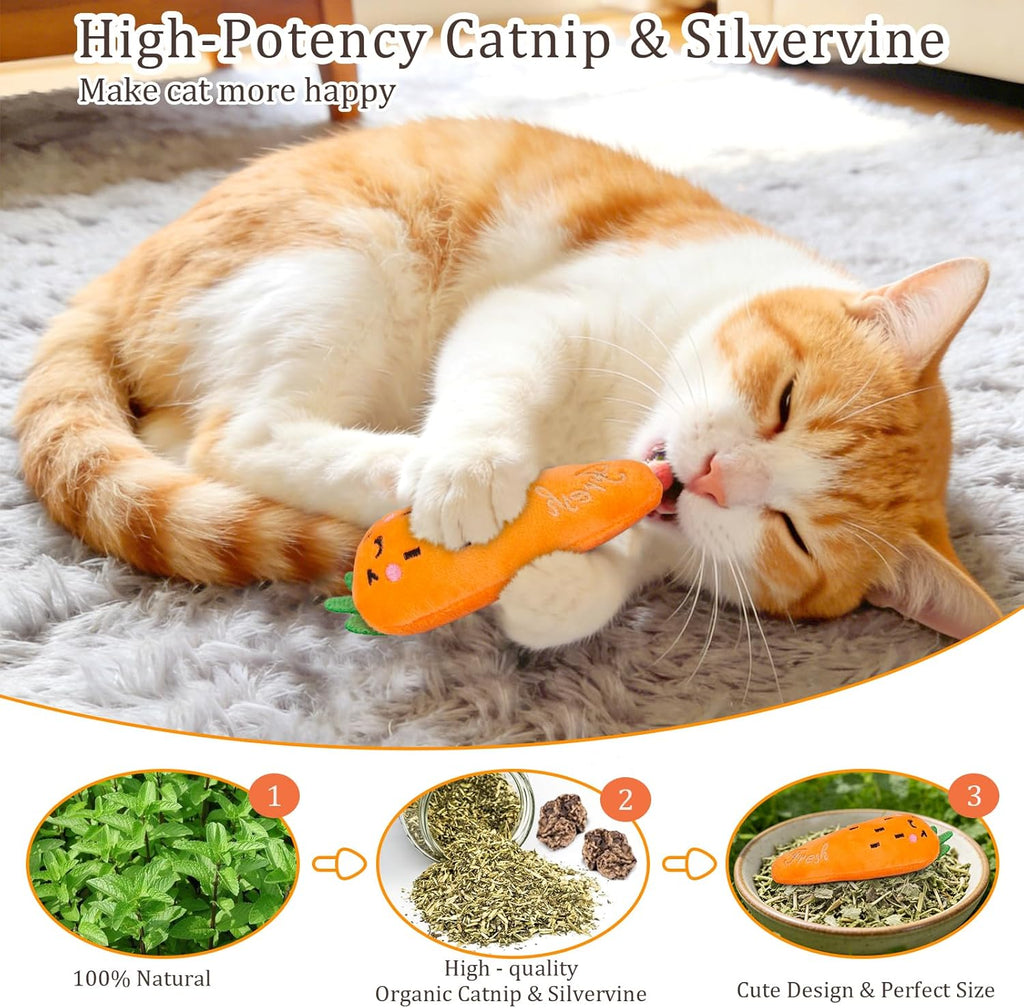 Catnip Cat Toys, Safe Teeth Cleaning Cat Nip Toys for Indoor Kitten Kitty,Interactive Plush Cat Chew Kicker Toys, 5 Pack, Vegetable Shape