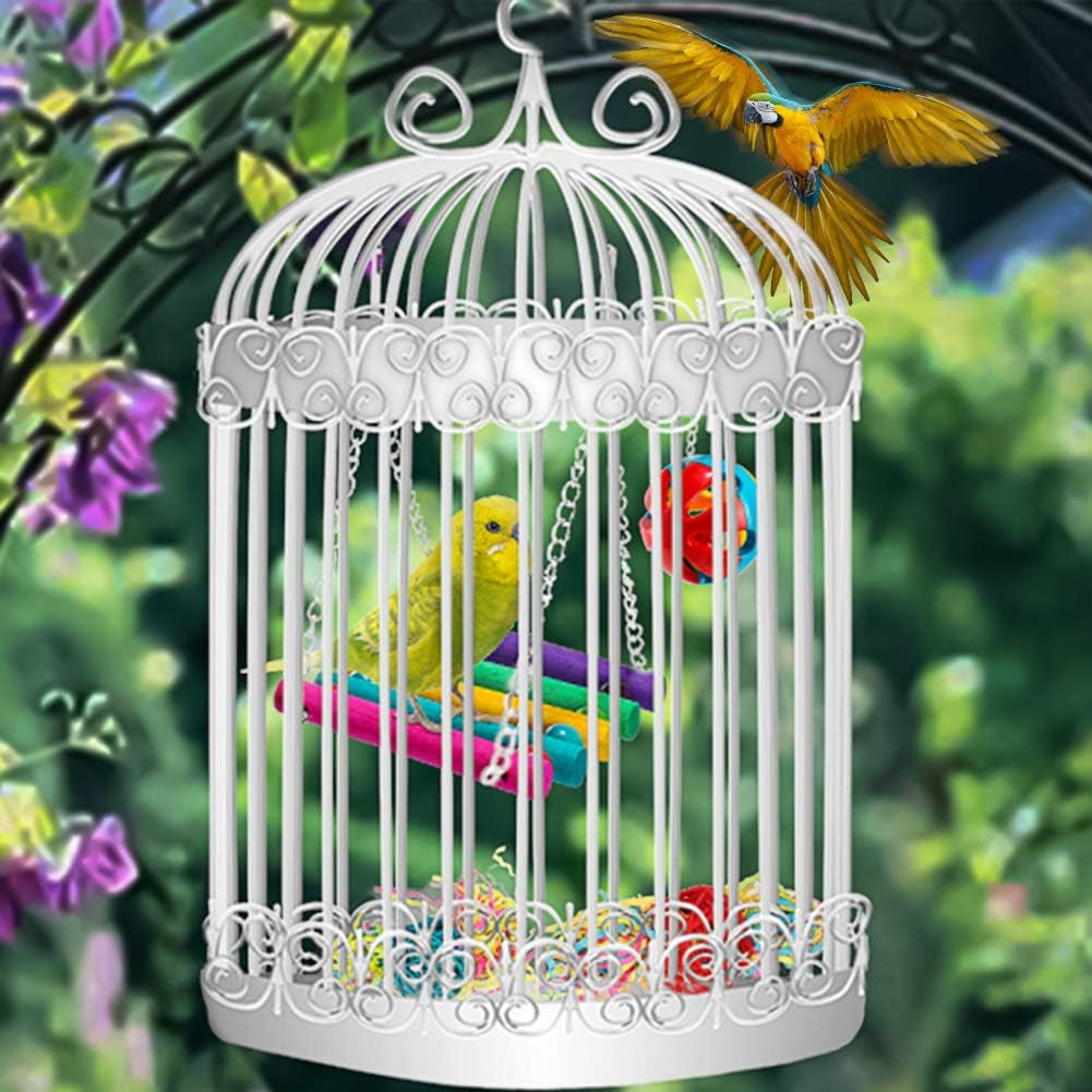 8 Packs Bird Toys Parrot Swing Toys Chewing Natural Wood and Rope Bungee Bird Toy for Anchovies Pet Toys Bird Toys for Parrots, Parakeet, Conure, Cockatiel, Mynah, Love Birds