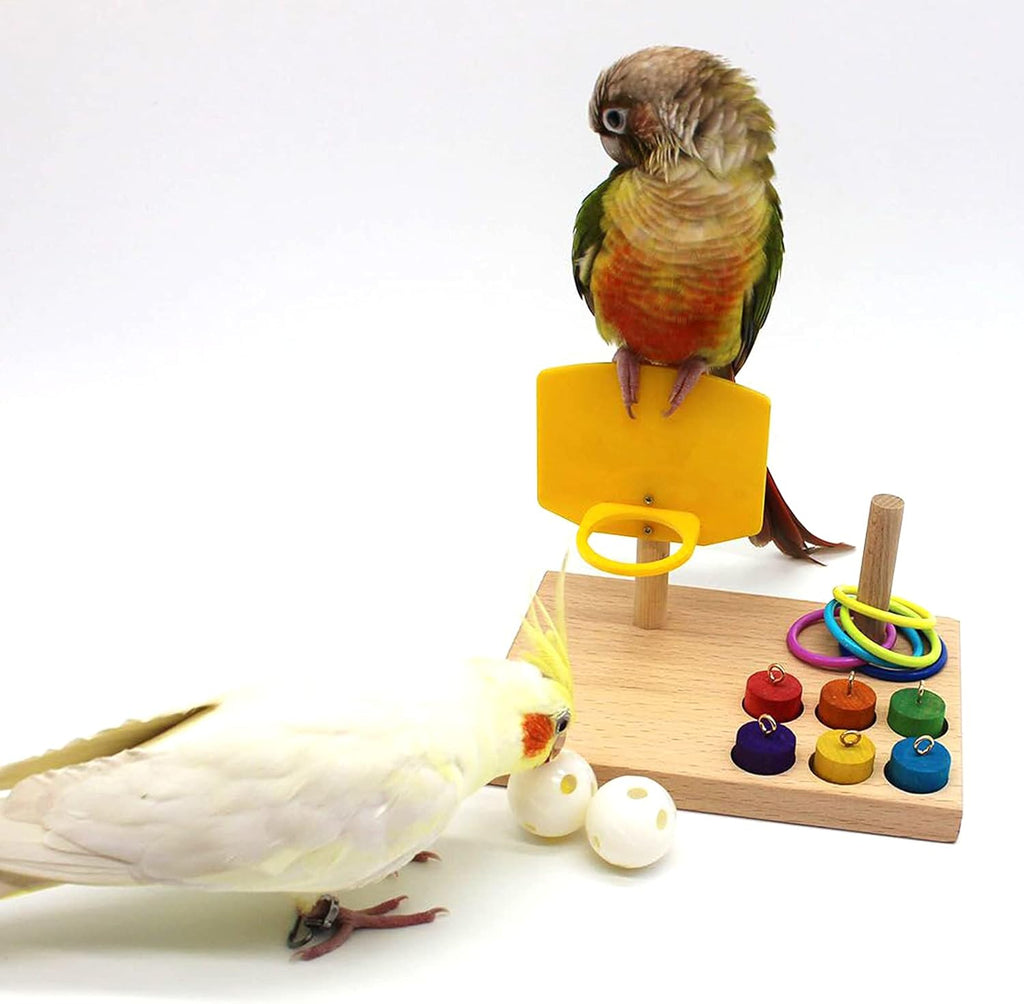 Bird Toys - Budgie & Parrot Training Toys, Color Ring Sets, Chew Ball & Play Gym